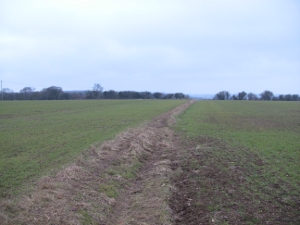 stage 3