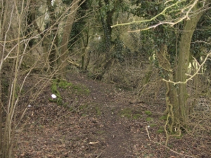 stage 3