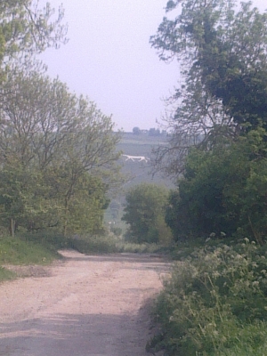 Green Drove